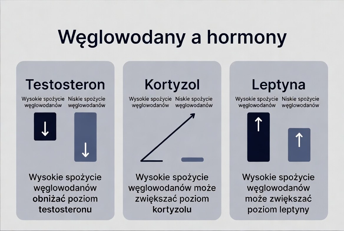 Wpływ węglowodan&oacute;w na testosteron, kortyzol i leptynę &ndash; kluczowe zależności.